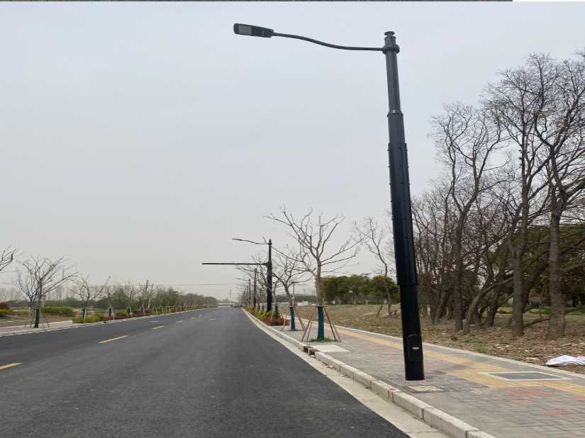 来宾市上海综合杆 太阳能路灯工程